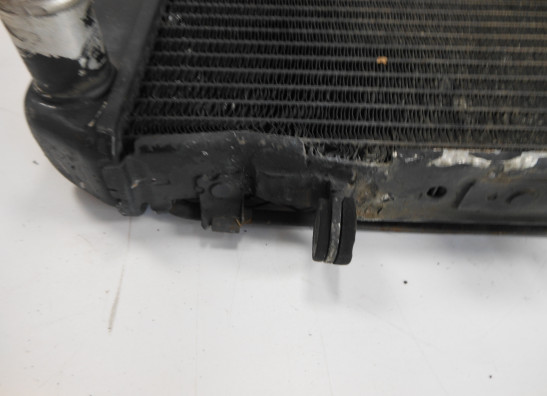 Radiateur Kawasaki ZRX 1100 1200