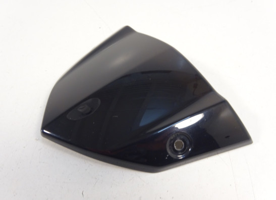 Windschild Kawasaki Z 1000