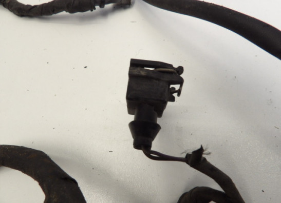 Kabelboom BMW R 1200 GS