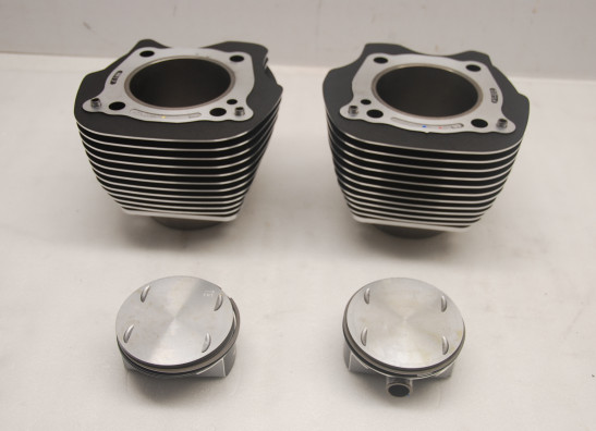 Cilinderblok Harley Davidson Softtail