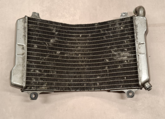 Radiator Suzuki RGV 250