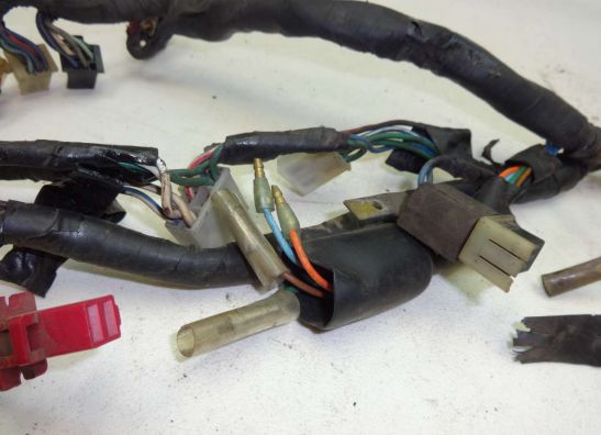 Kabelboom Honda CBX 750 F