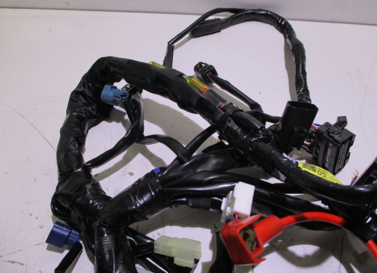 Kabelboom Yamaha MT 07