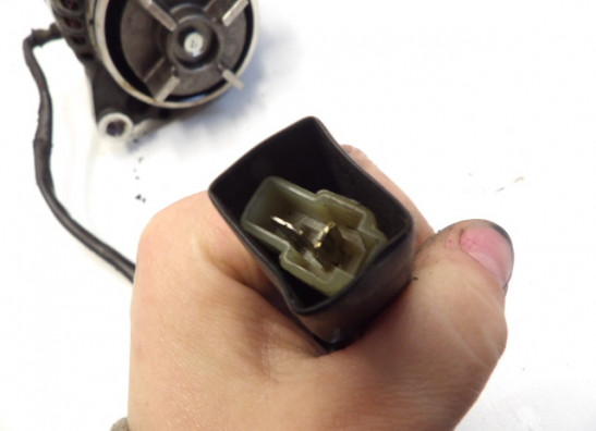 Dynamo Kawasaki ZZR 1100