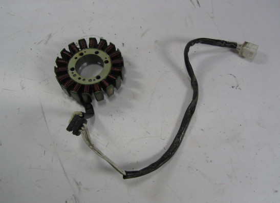 Dynamo Kawasaki ER 6