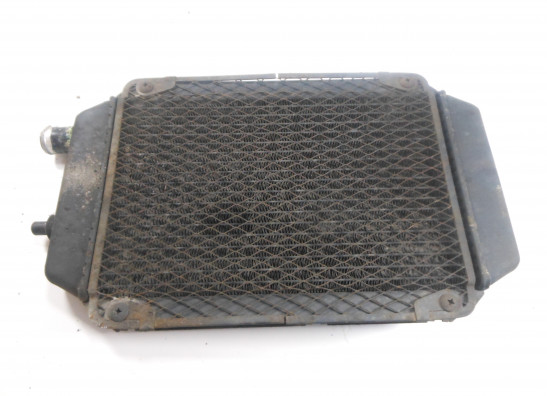 Kuhler Kawasaki VN 800