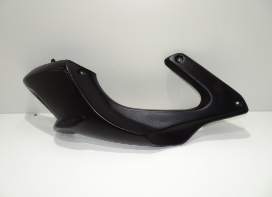 Seitenverkleidung links klein BMW F 650