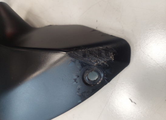 Afdekkap Aprilia Tuono 1000