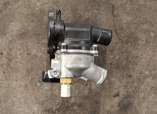 Thermostat Kawasaki Z 800