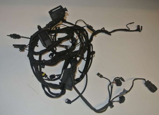 Wire Harness BMW F 800
