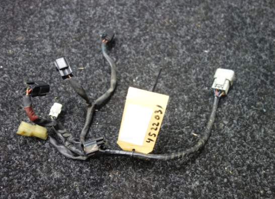 Wire Harness Yamaha FZ1
