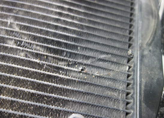 Radiator MV Agusta 750 Brutale