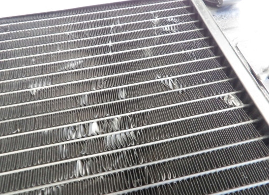 Radiateur Honda VF 700  750 C Magna