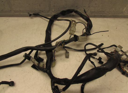 Kabelboom Aprilia Pegaso