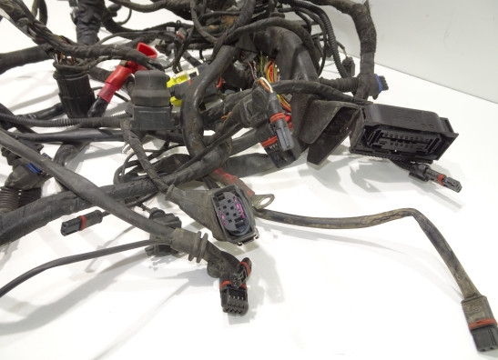 Kabelbaum BMW R 1200 GS