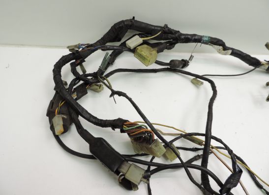 Wire Harness Kawasaki GPZ 900