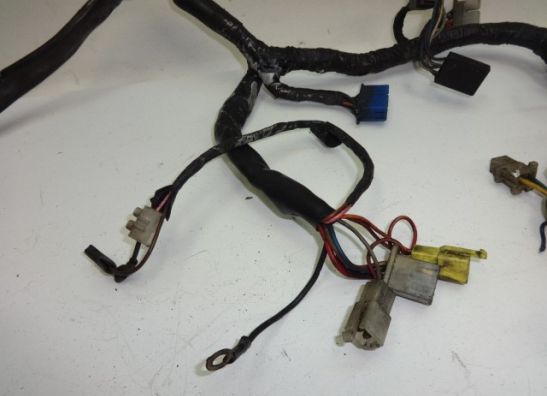 Kabelbaum Yamaha FJ 1100