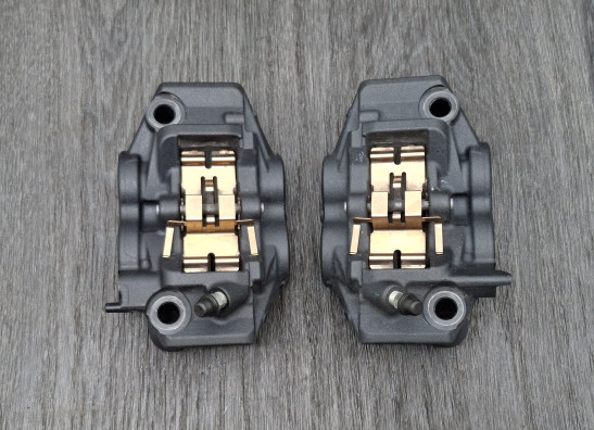 Remklauwen Yamaha MT 10