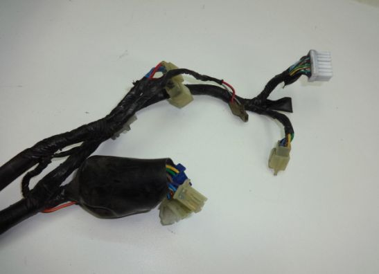 Wire Harness Yamaha YZF 600 Thundercat