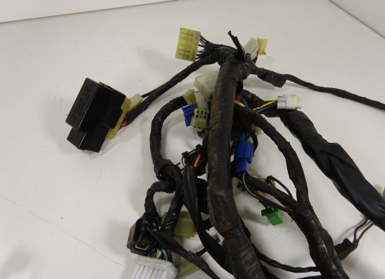 Kabelbaum Yamaha YZF 600 Thundercat