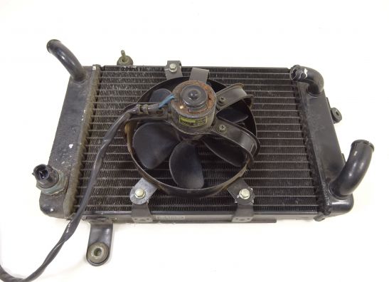 Radiator Suzuki Burgman AN 250