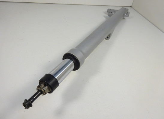 Standrohr Gabelholm links komplett BMW R 1200 RT