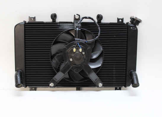 Radiateur Kawasaki Z 900