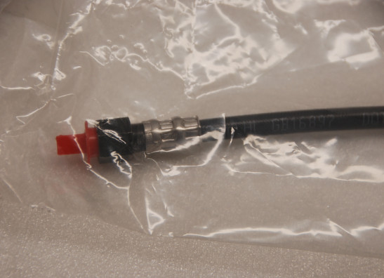 Remstang Harley Davidson Softtail