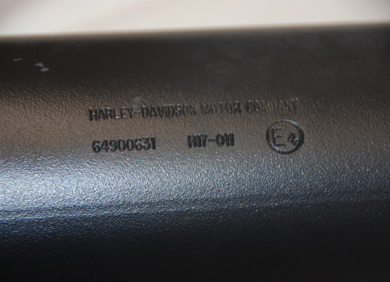 Auspuff Harley Davidson Touring FL