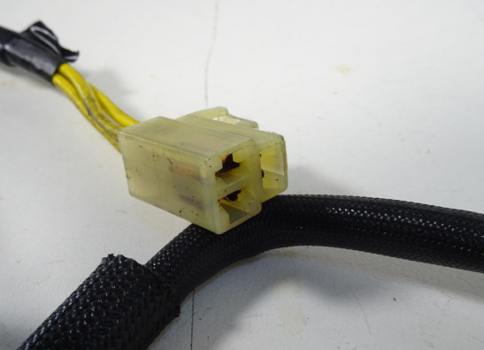 Dynamo Ducati monster 796