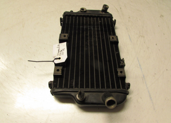 Radiateur Kawasaki EL 250