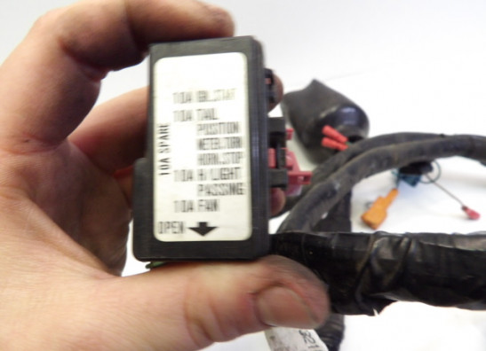 Wire Harness Honda CBR 600 F