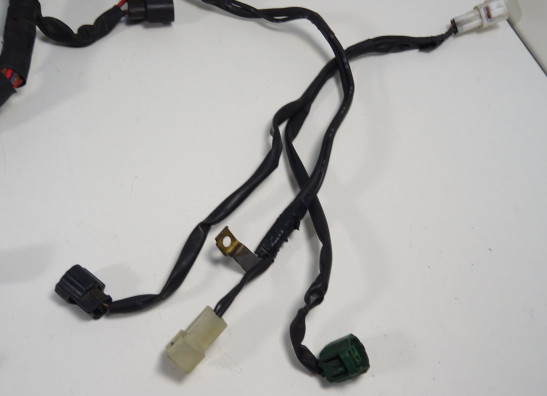 Kabelbaum Yamaha TDM