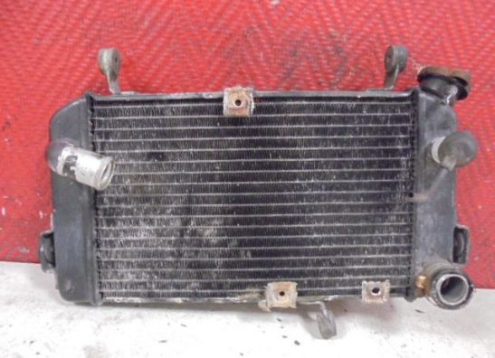 Radiateur Suzuki SV 650