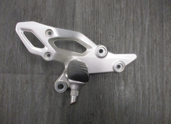 Rechter schetsplaat BMW R 1200 R LC 2014-2015