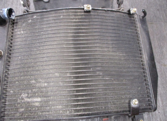 Radiateur MV Agusta 910 Brutale