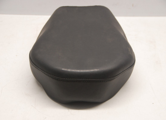 Buddy zadel Harley Davidson Sportster