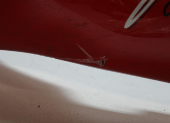 Frontverkleidung kanzel Triumph Sprint 900