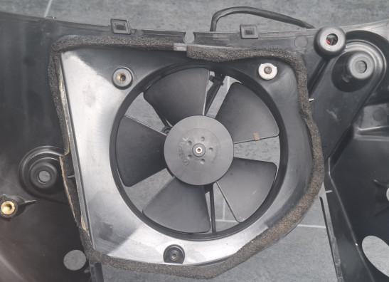 Fan Buell 1125 R