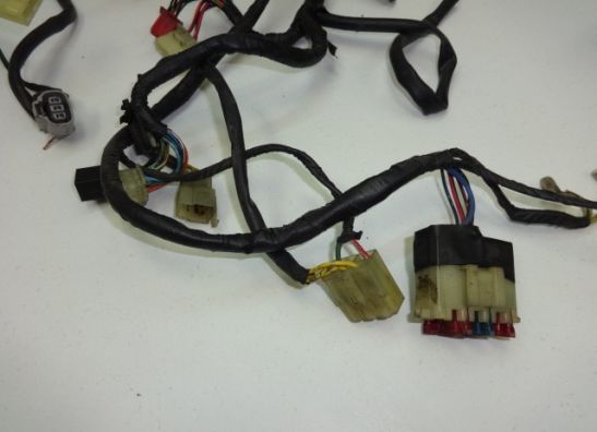 Kabelboom Honda PC 800