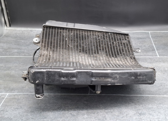 Radiator Suzuki GSX R 1100