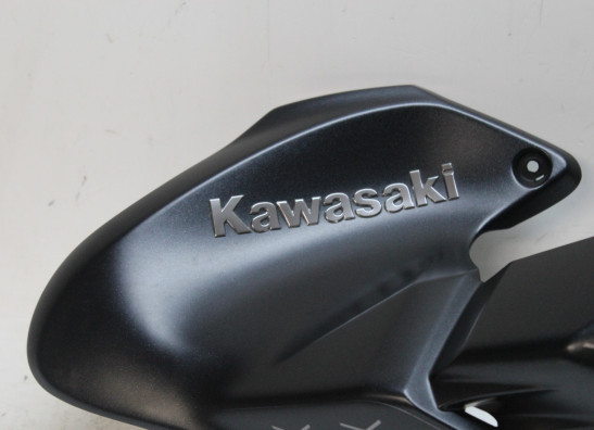 Tankcover Kawasaki Z 900