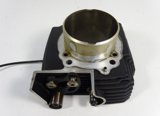 Cilinderblok Ducati monster 696