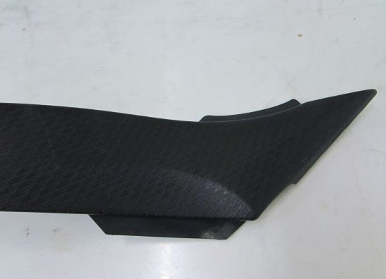 Tank Kawasaki ZX 6 R