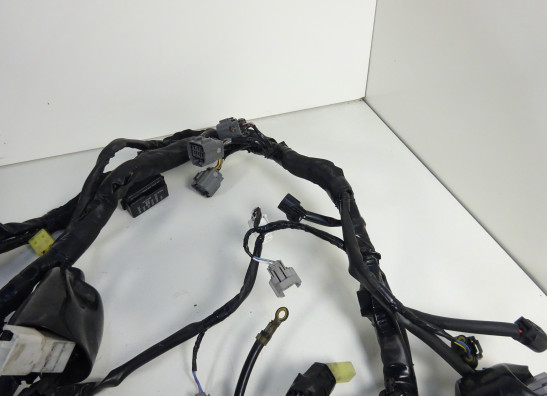 Kabelboom Kawasaki VERSYS 650