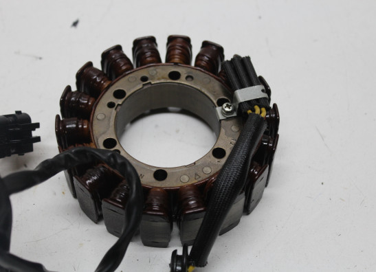 Dynamo BMW F 800 S - ST