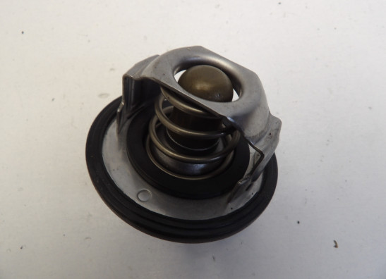 Thermostaat Yamaha YZF R6