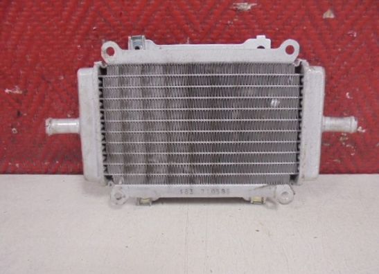Radiateur Vespa Gts 300 2008-2013
