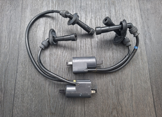 Bobine Suzuki GSF 600 650 Bandit 