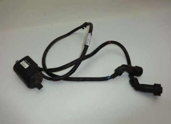 Bobine Yamaha XJ 900 S Diversion